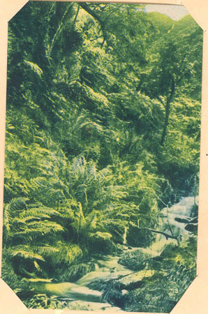 scenery