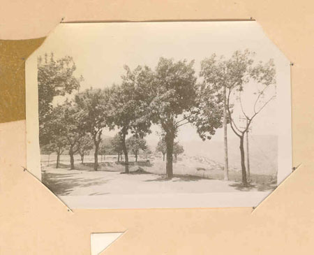 ww14